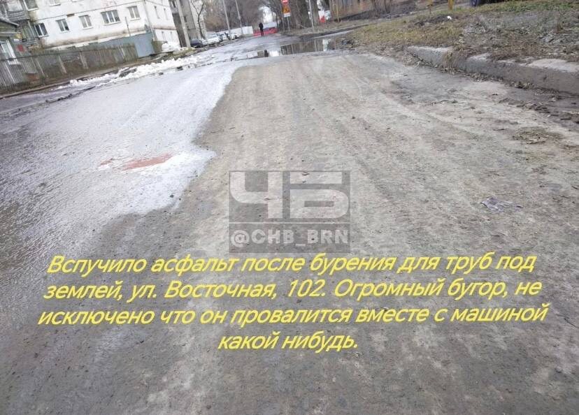 Фото: Telegram-канал «Черное и Белое Барнаул»