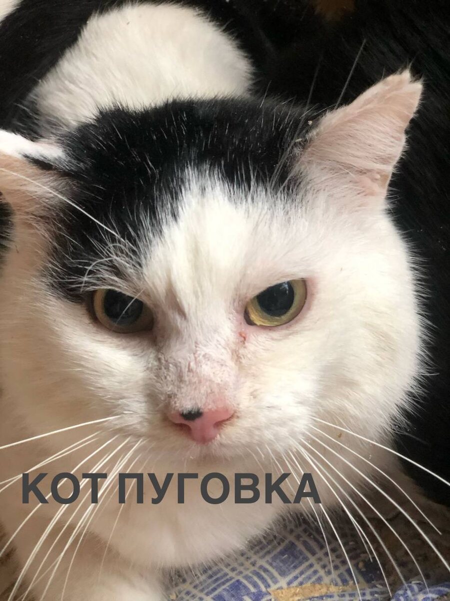 Нашего дома больше нет