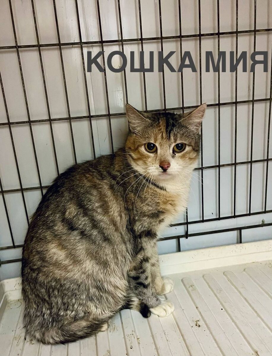 Нам некуда вернуться