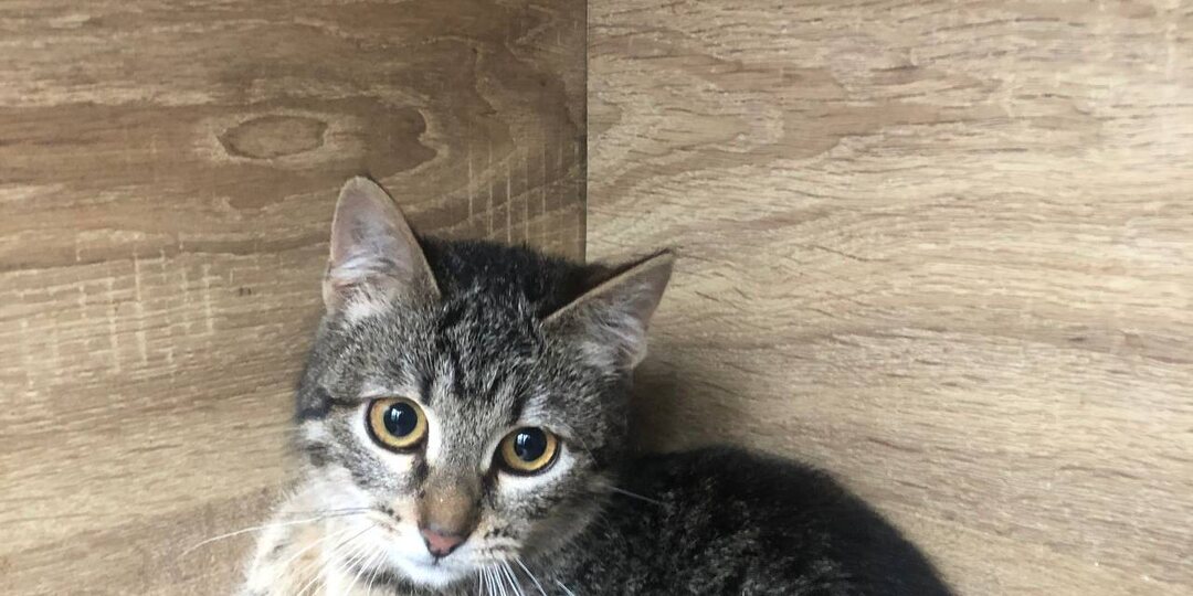 Их дома снесли, и даже подвала не осталось