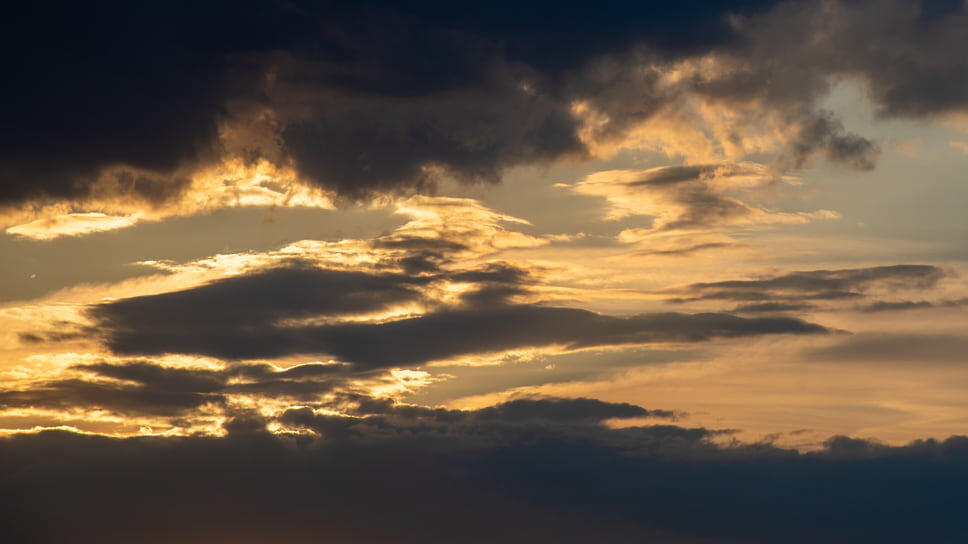 Фото: Олег Харсеев / Коммерсантъ