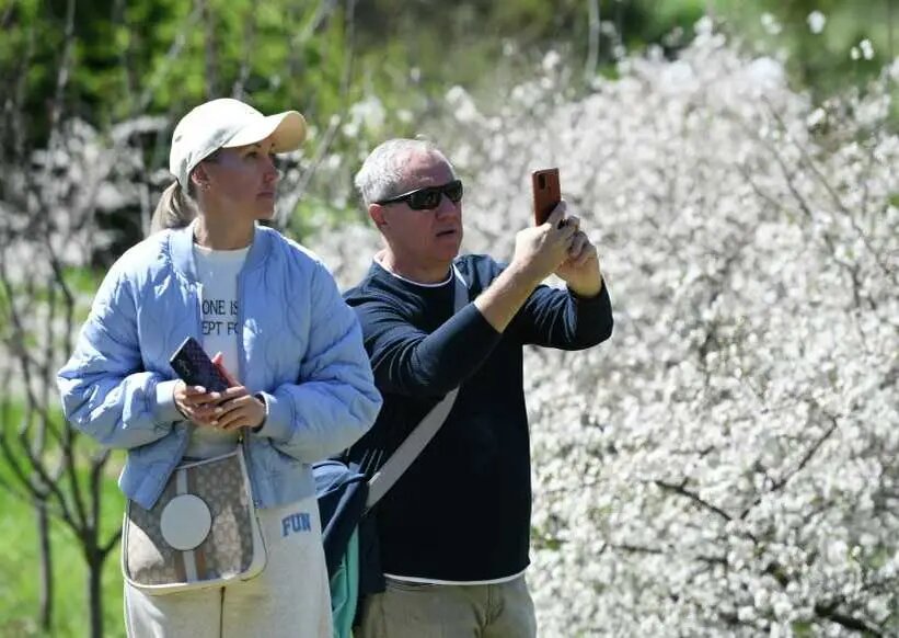  Сочинский дендрарий – одна из знаковых достопримечательностей города   © РИА Новости. Екатерина Лызлова