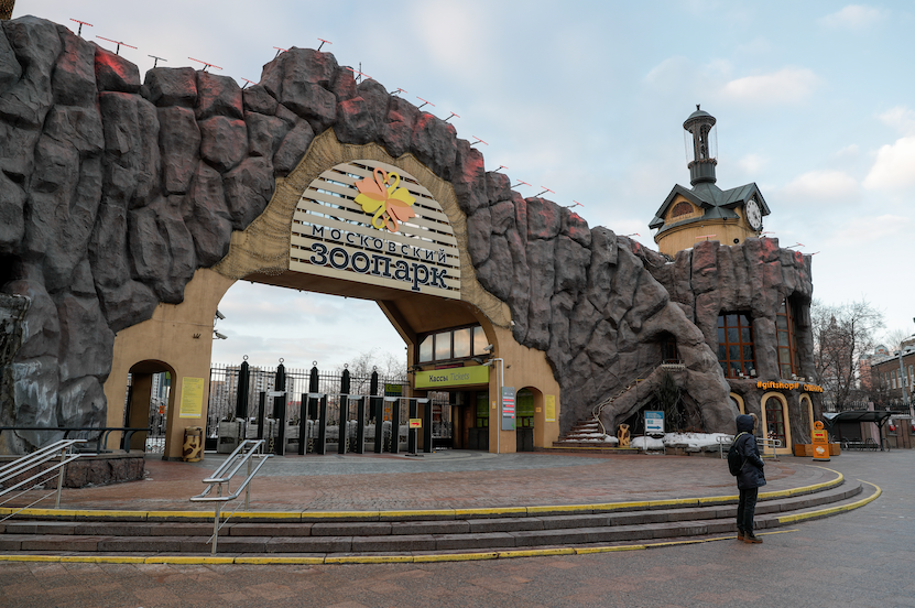 Фото: Михаил Джапаридзе/ТАСС