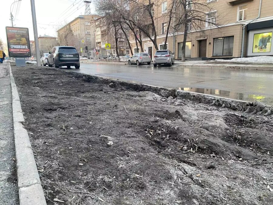 Фото: РБК Новосибирск