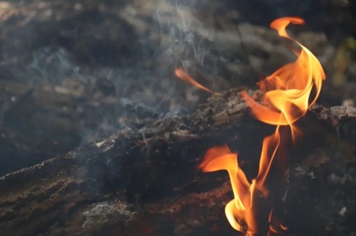    В Красноярском крае с начала сезона произошло уже 140 открытых возгораний