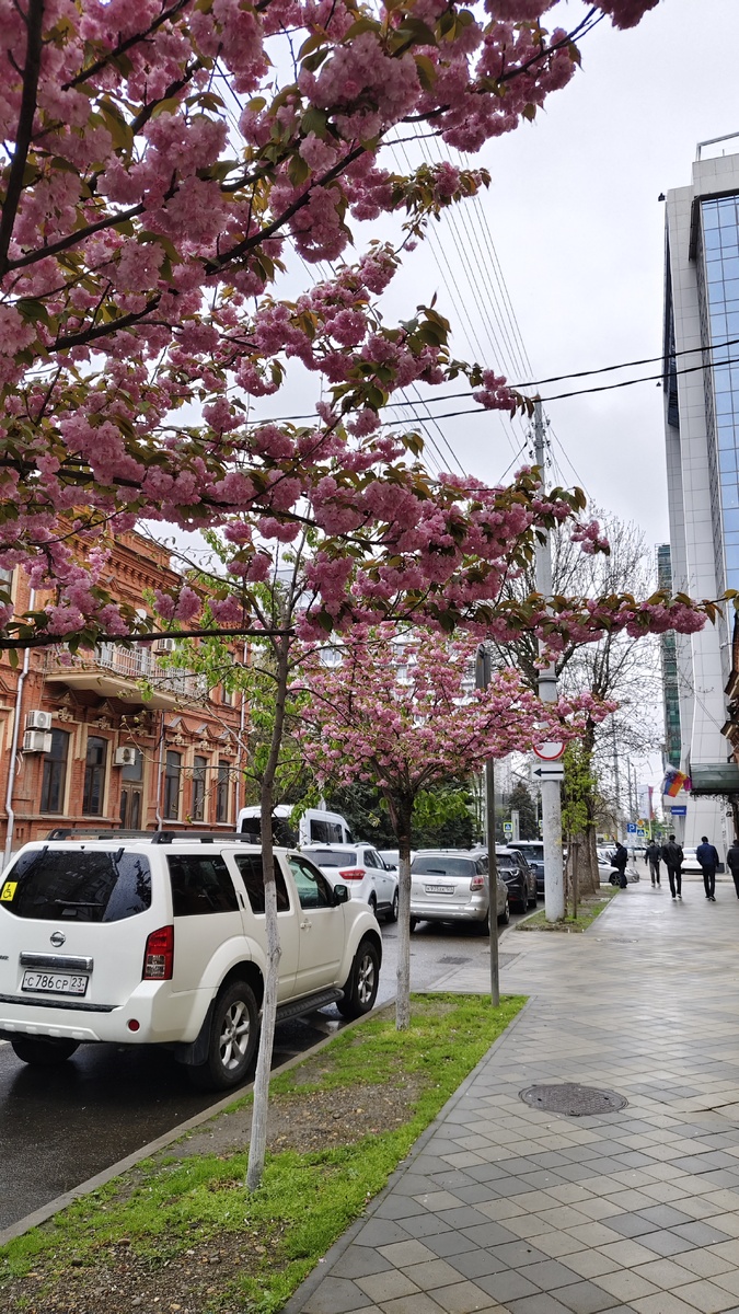 Вот такая красота была по пути!