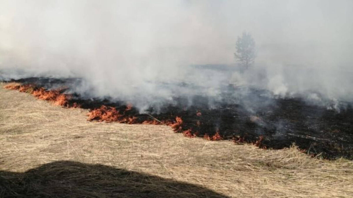 Фото: tatarstan.ru