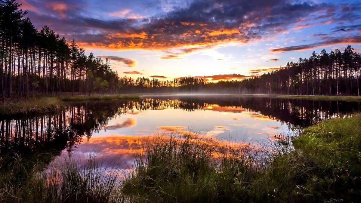 Найдите тихое место, чтобы соединиться с энергией природы