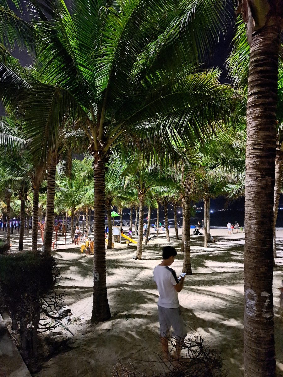 Пальма не де Майорка