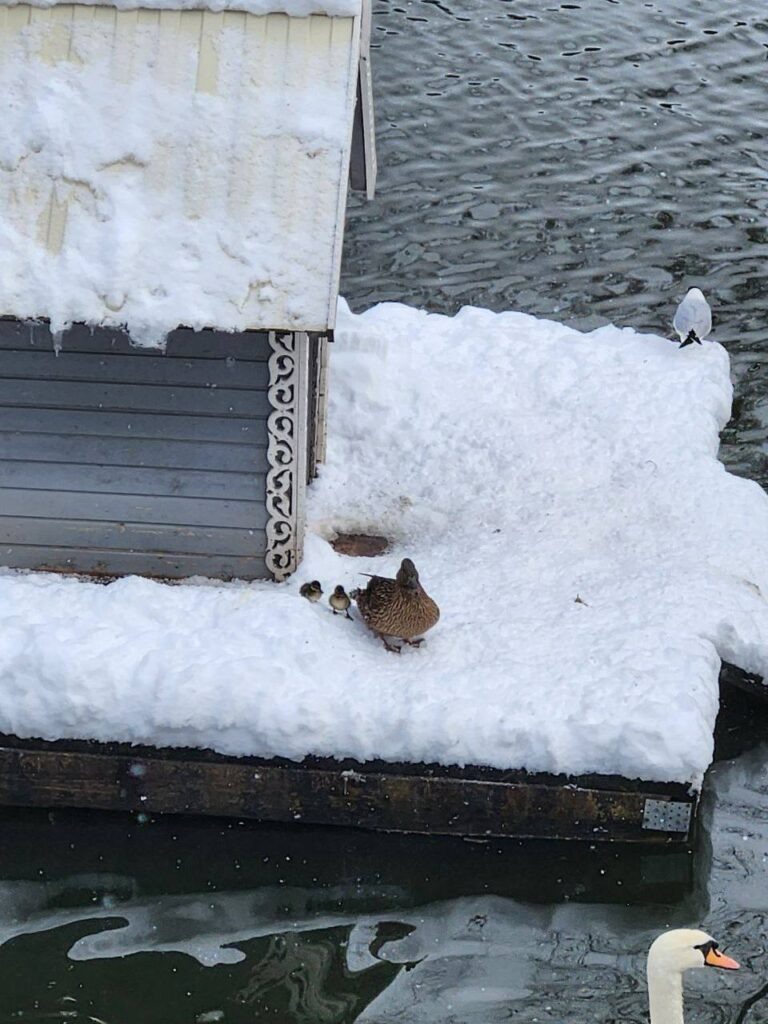    Фото: предоставлено редакции sn-gazeta.ru Юля Баранова