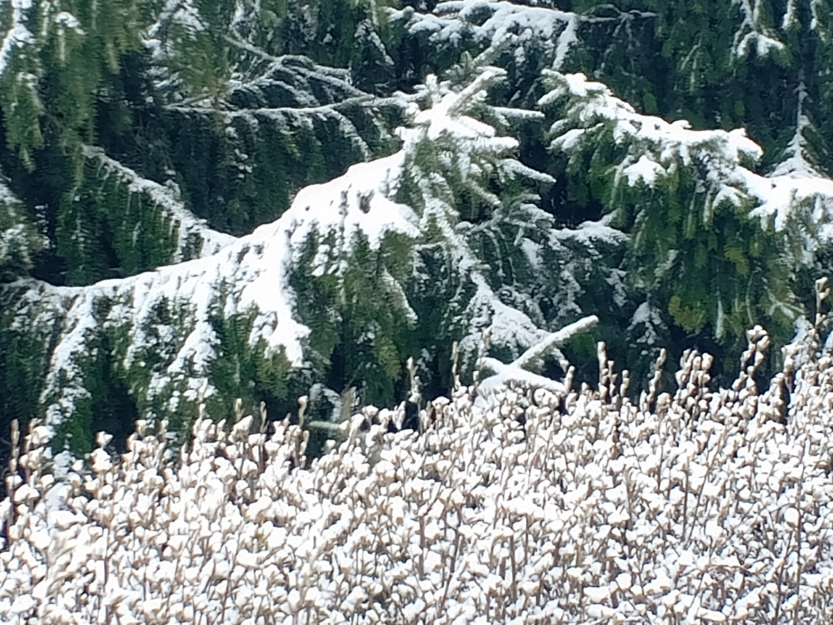 Снег на набережной.