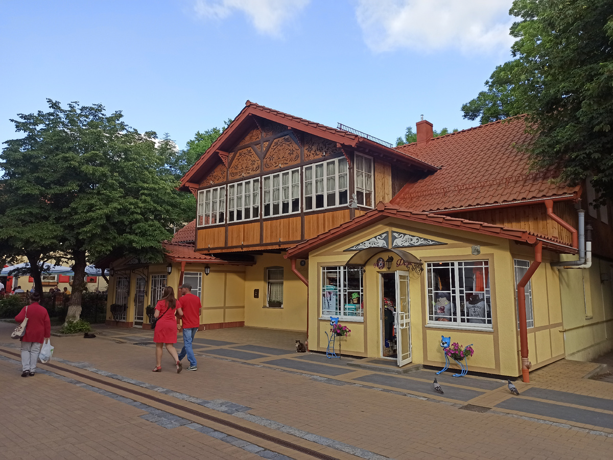 Курортный проспект 19