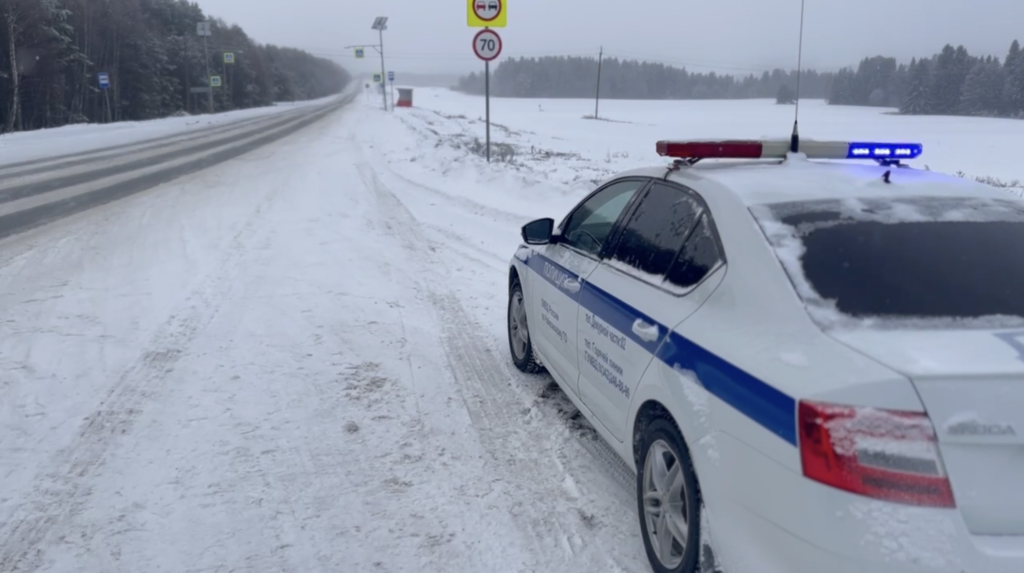    Фото: Госавтоинспекции Пермского края Алена Калашникова