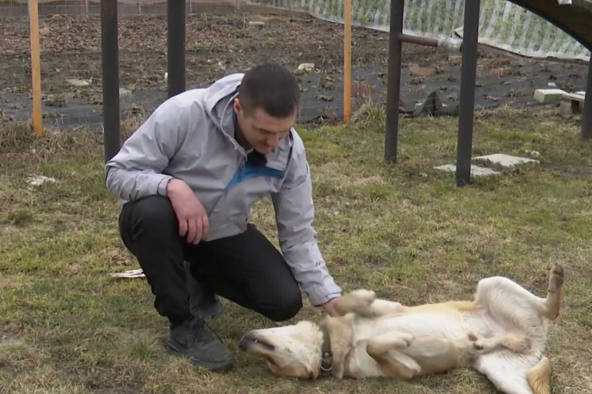 Листайте вправо, чтобы увидеть больше изображений