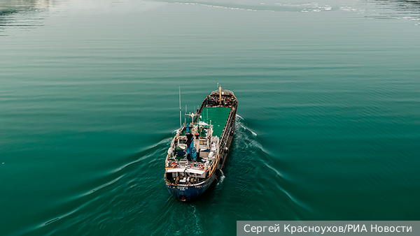     Фото: Сергей Красноухов/РИА Новости   
 Текст: Анастасия Куликова