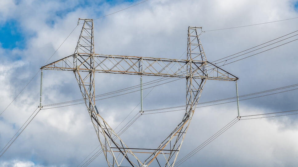 Фото: Олег Харсеев / Коммерсантъ