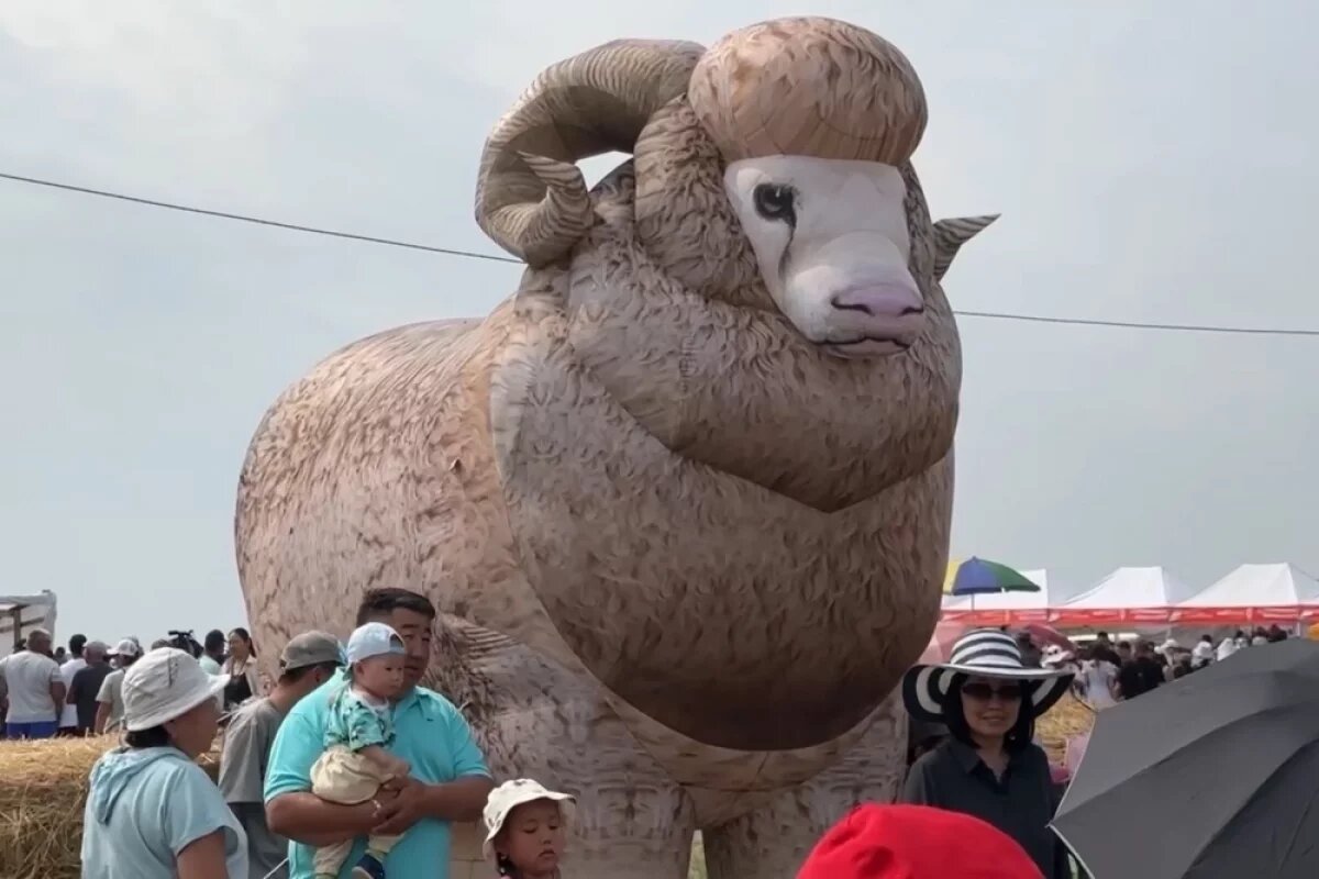    Особый вид баранины решили официально зарегистрировать в Бурятии