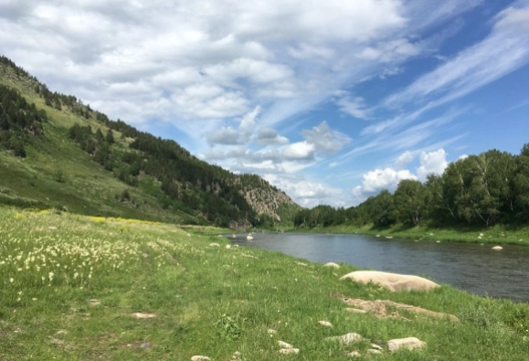 РБК Новосибирск