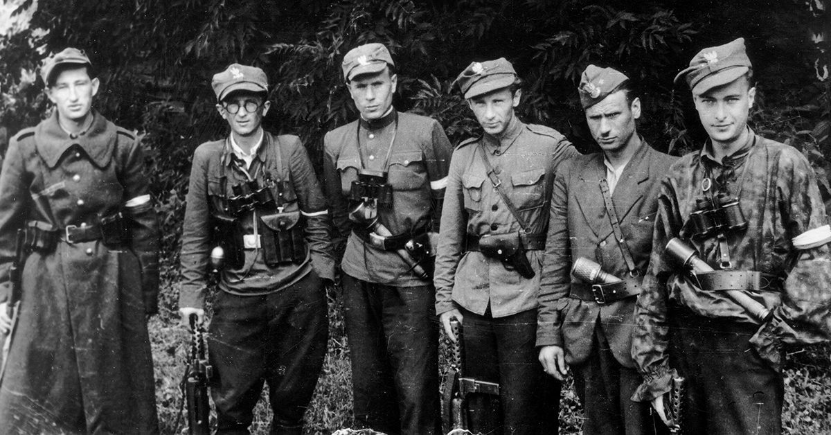 Польские АКовцы