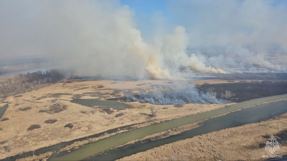    Природный пожар. Поле. Источник: МЧС Алтайского края