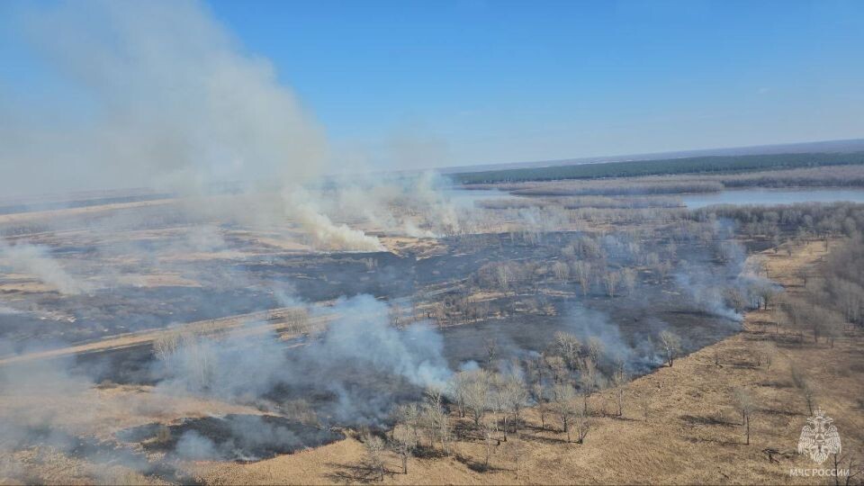    Природный пожар. Поле. Источник: МЧС Алтайского края