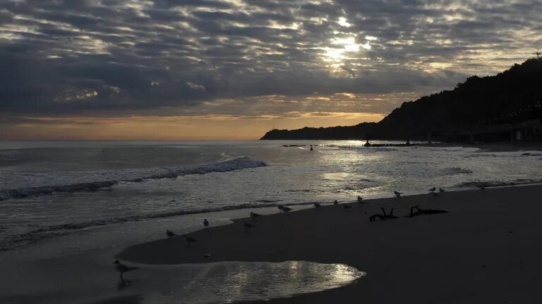 © РИА Новости / Владимир Федоренко