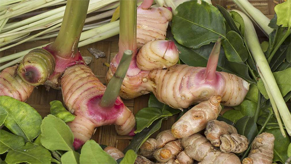 Кони галангала