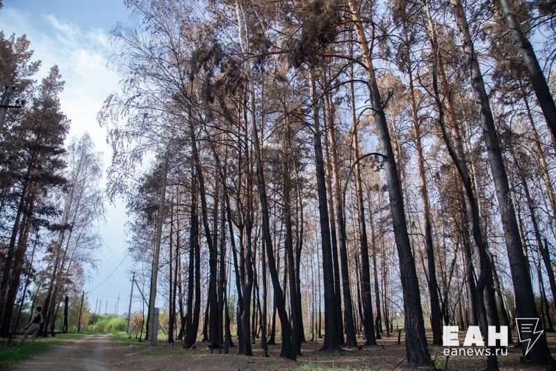    Архивное фото ЕАН