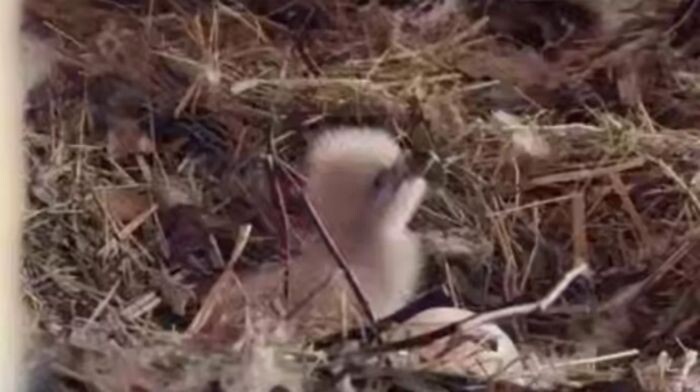 Источник фото: © РИА Новости