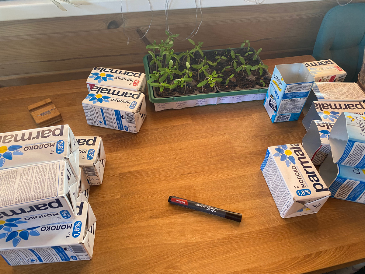 Готовлюсь к пикировке 