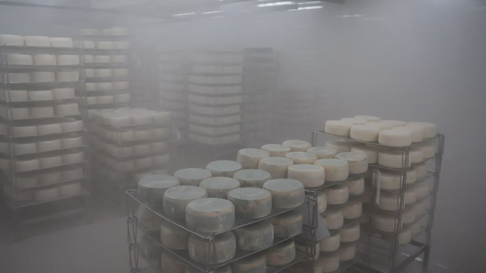 Источник фото: https://sdelanounas.ru