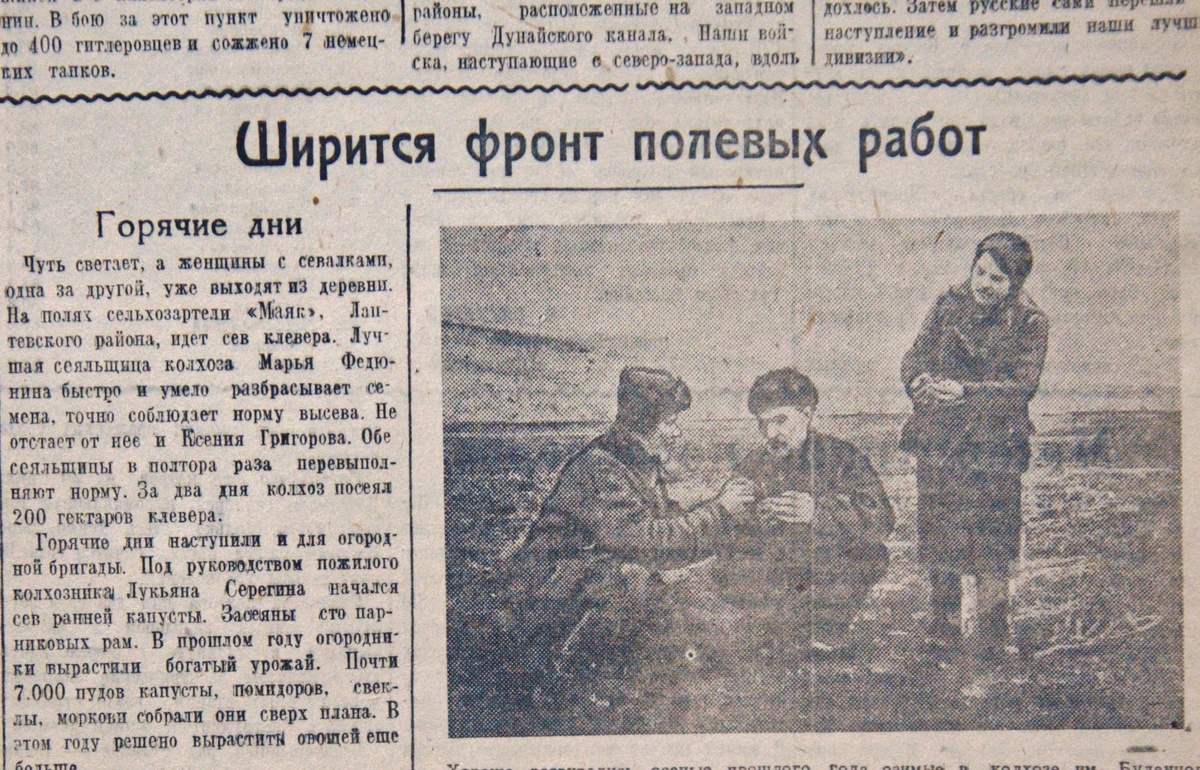 Фото: Тульская служба новостей 