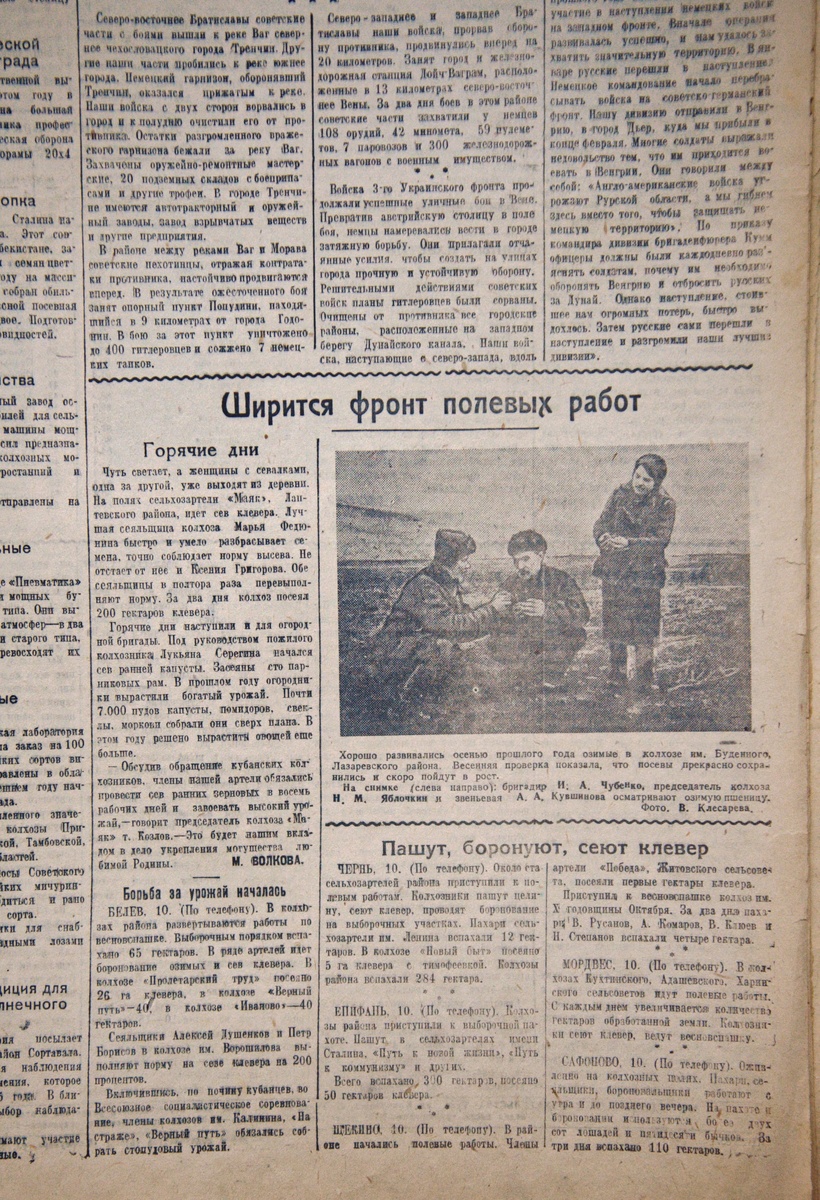 Фото: Тульская служба новостей 