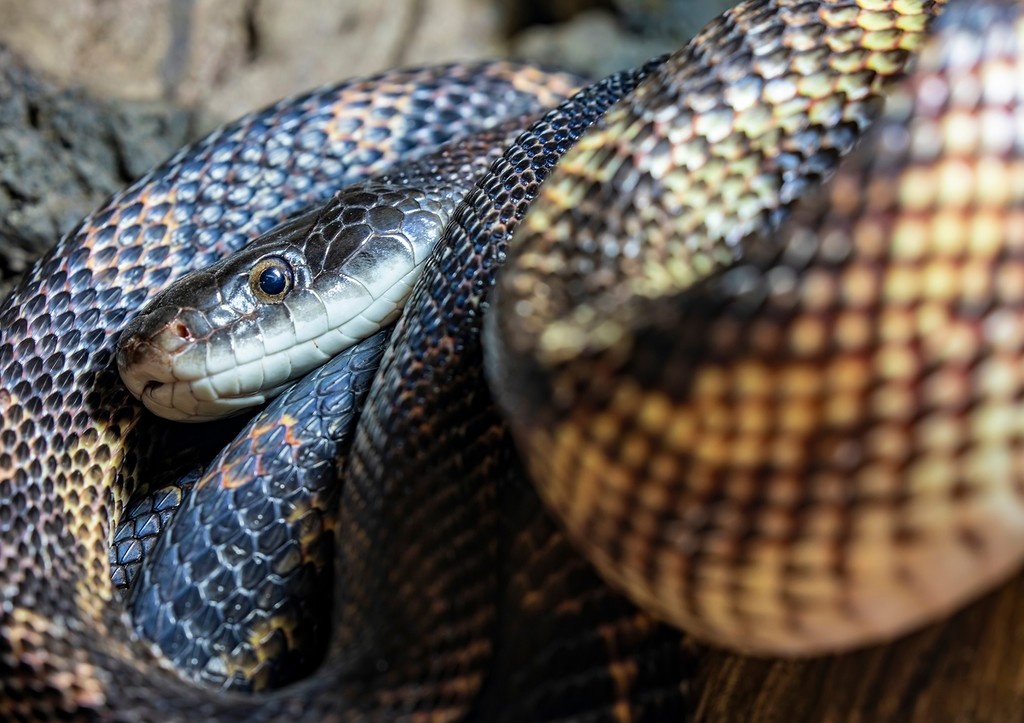    Фото: news.ru Георгий