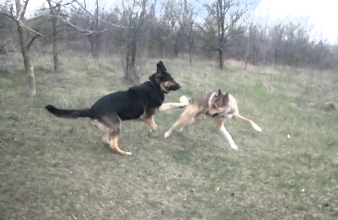 Фото автора