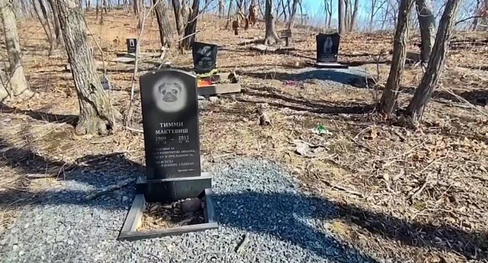    Стоп-кадр видео