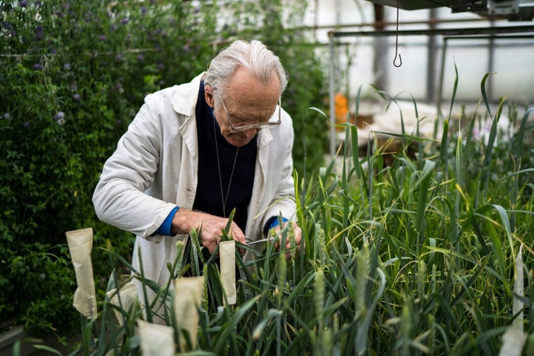 Фото: Александр Плонский / «Агроэксперт»