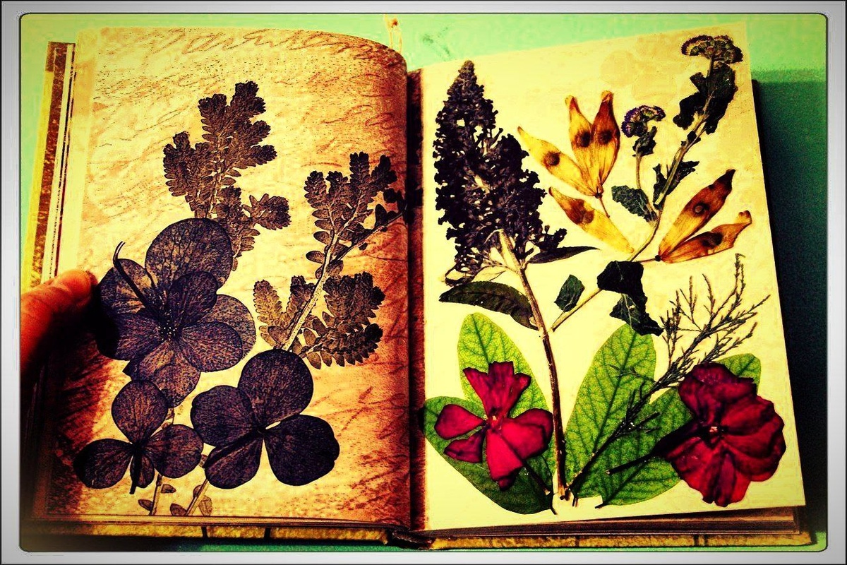 Фото с просторов всемирной паутины.