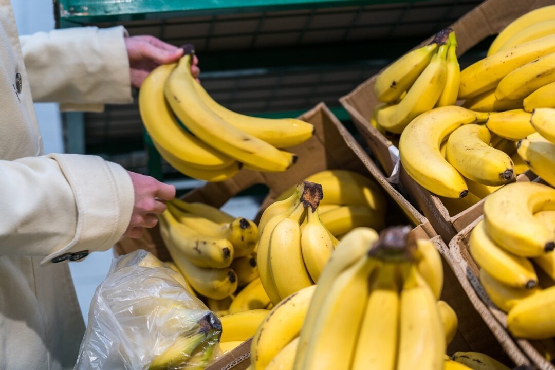 Фото: Александр Плонский / «Агроэксперт»