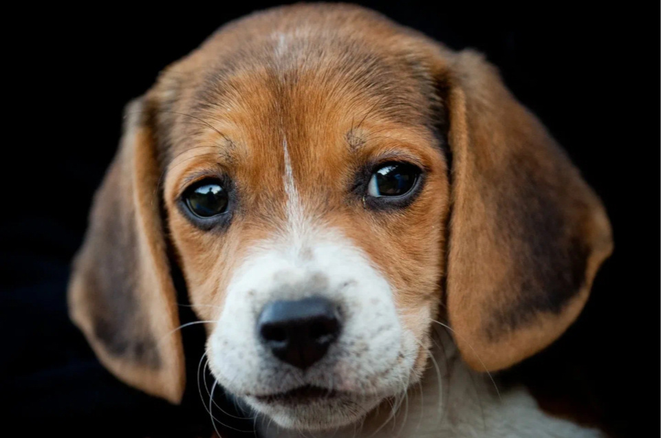 Яндекс.картинки для обложки