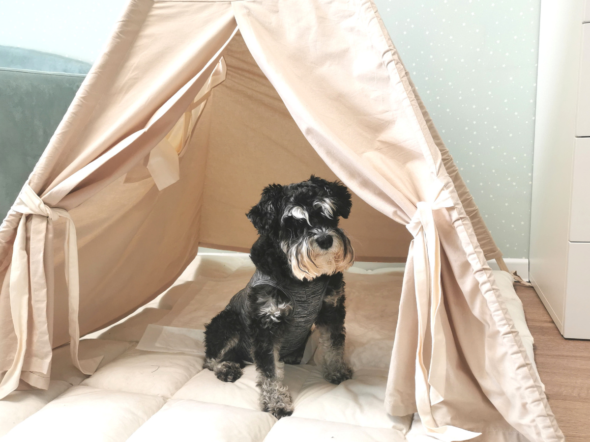 В детском вигваме Джесс тоже очень любит сидеть 