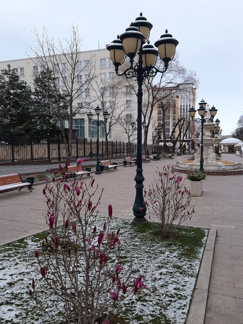 Необычная весна в Кисловодске.