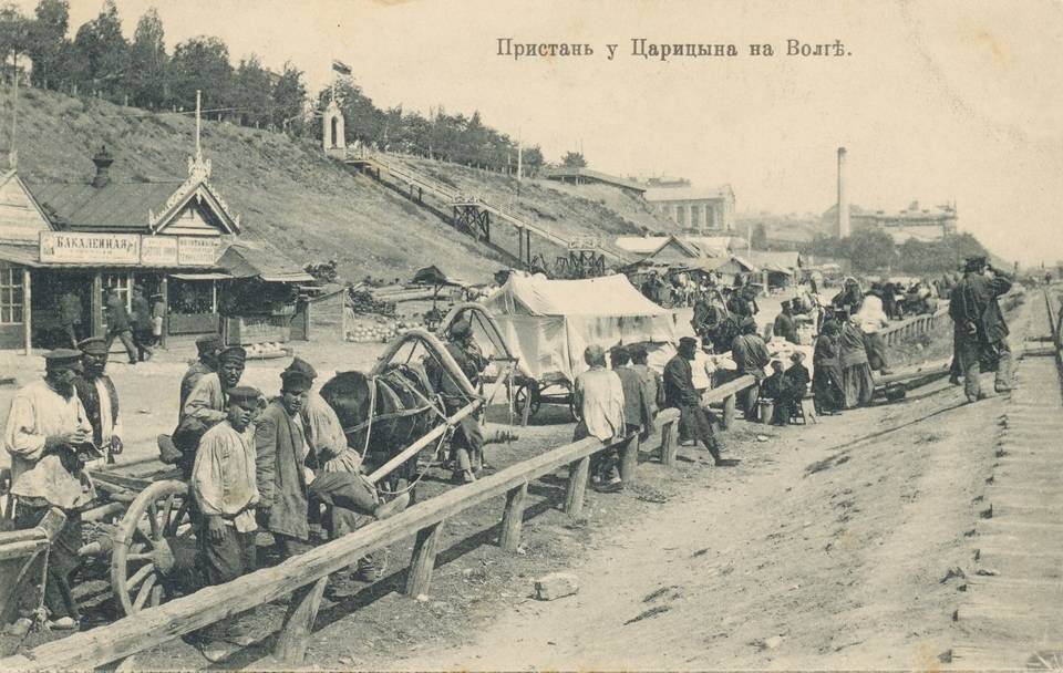    Фото: ГКУВО «ГАВО»