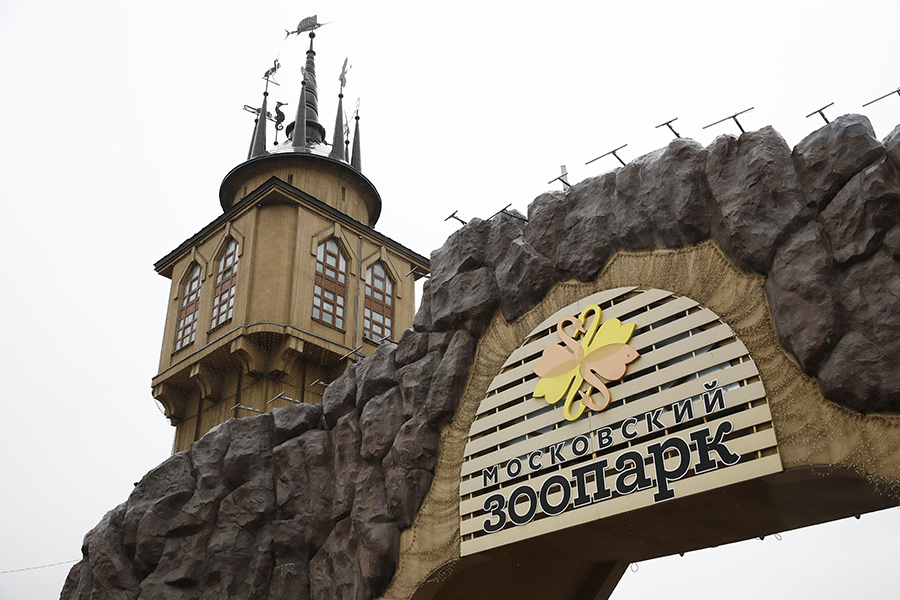    © Артем Геодакян/ТАСС