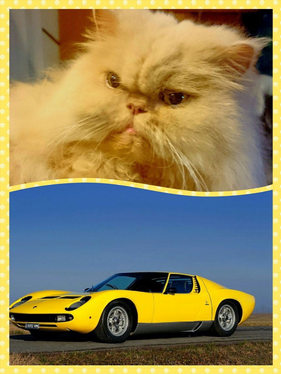 Миура Ламборгини