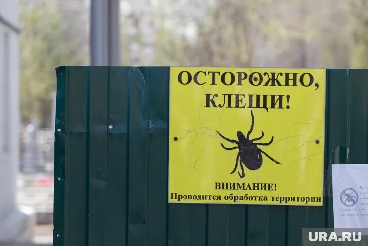 Фото: Илья Московец © URA.RU