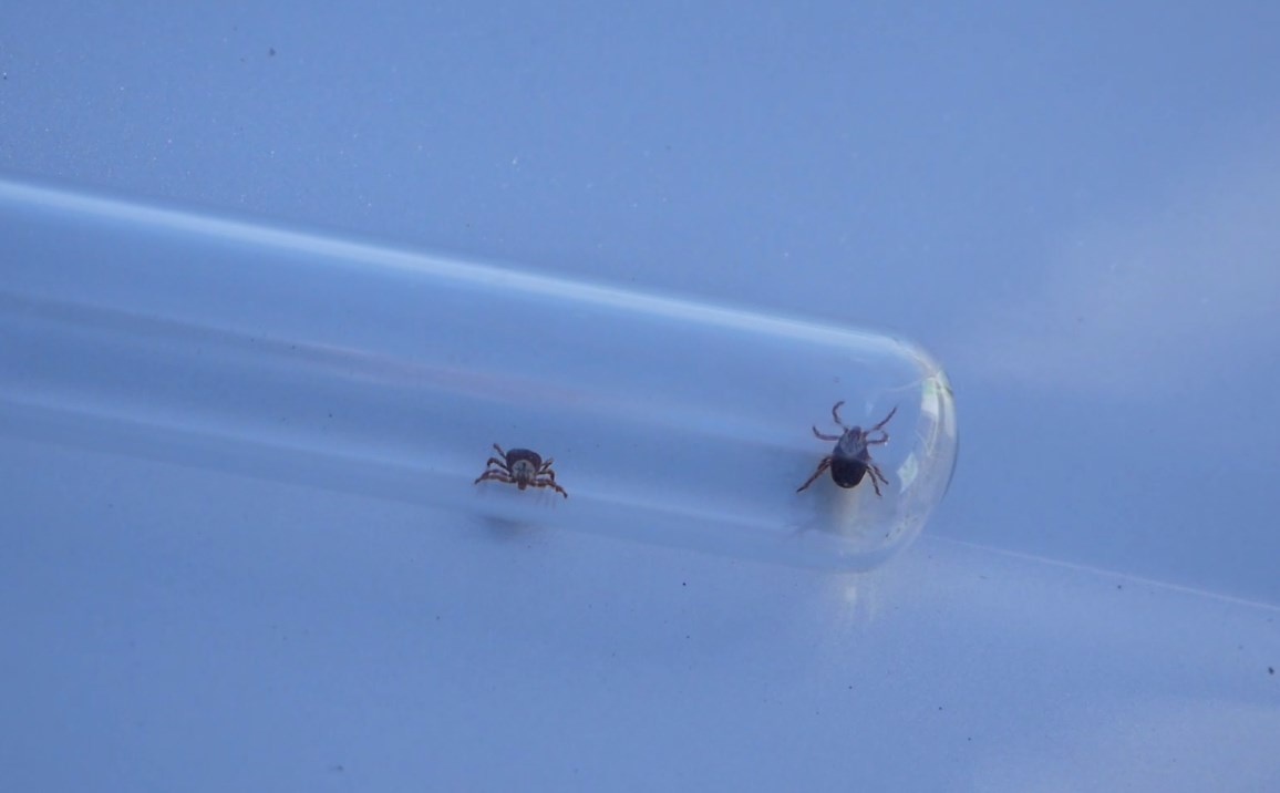    © пресс-служба Управления Роспотребнадзора по Пермскому краю