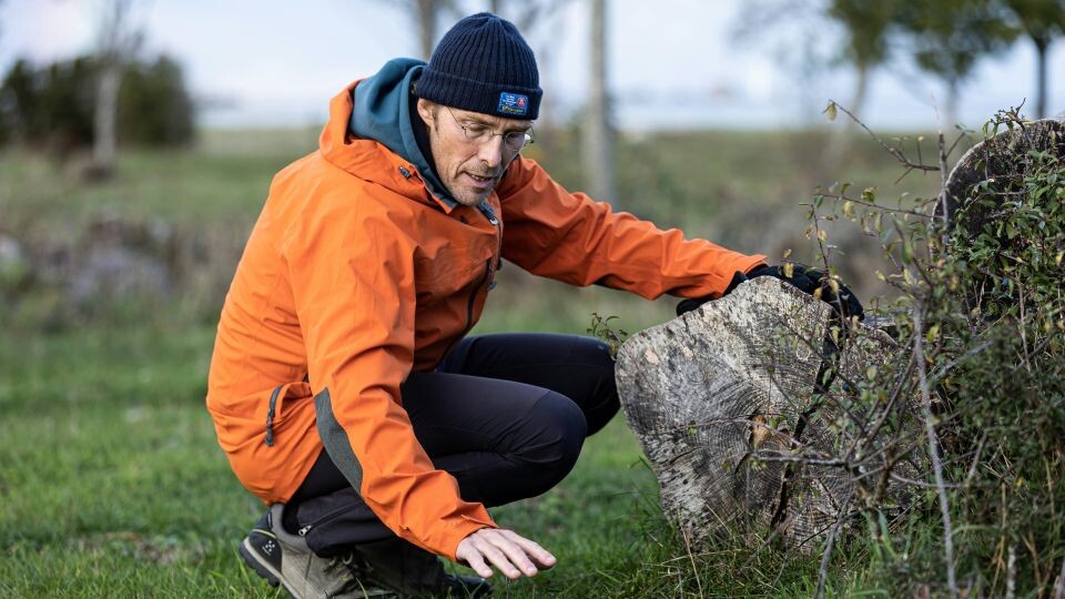    Геолог. Геология. Источник: unsplash.com