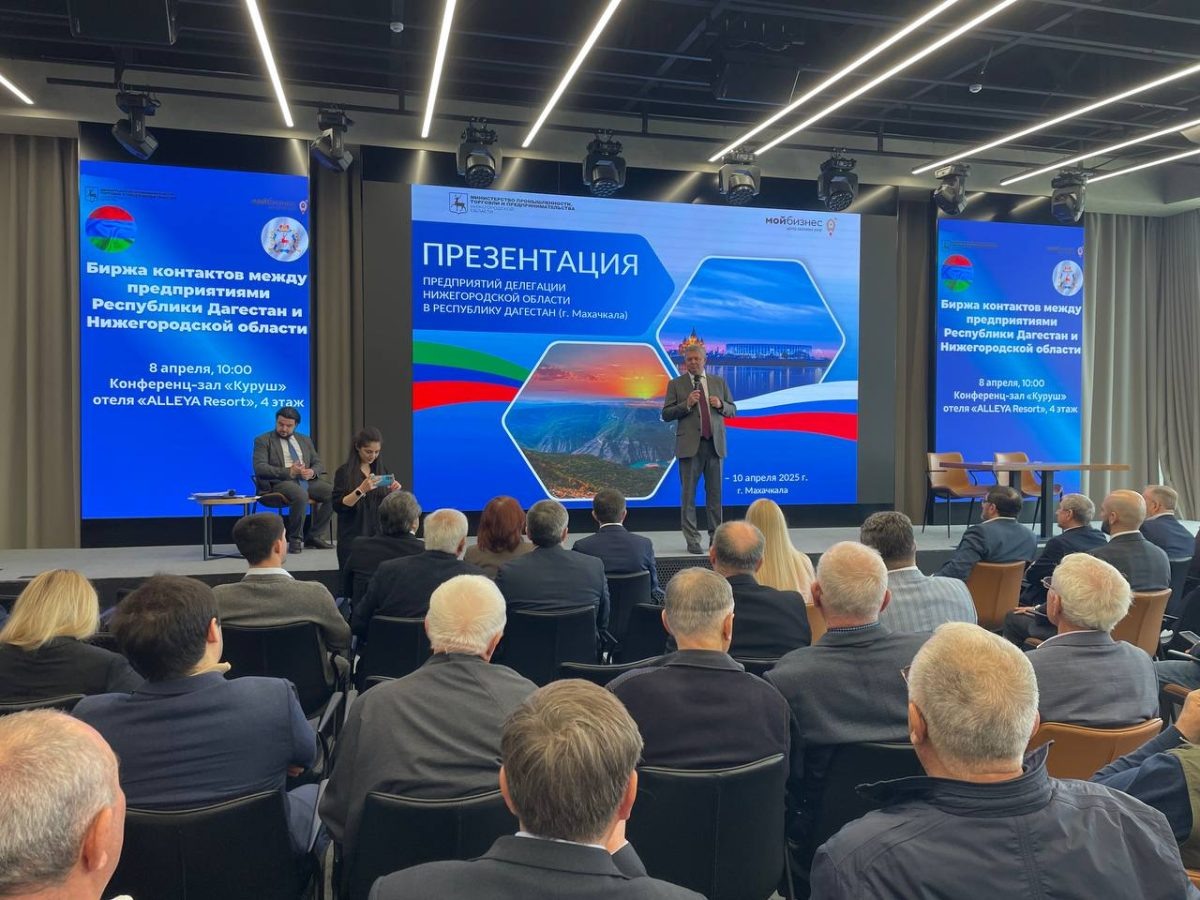    Нижегородские компании могут начать поставки композитных и геосинтетических материалов, бетонных изделий в Дагестан