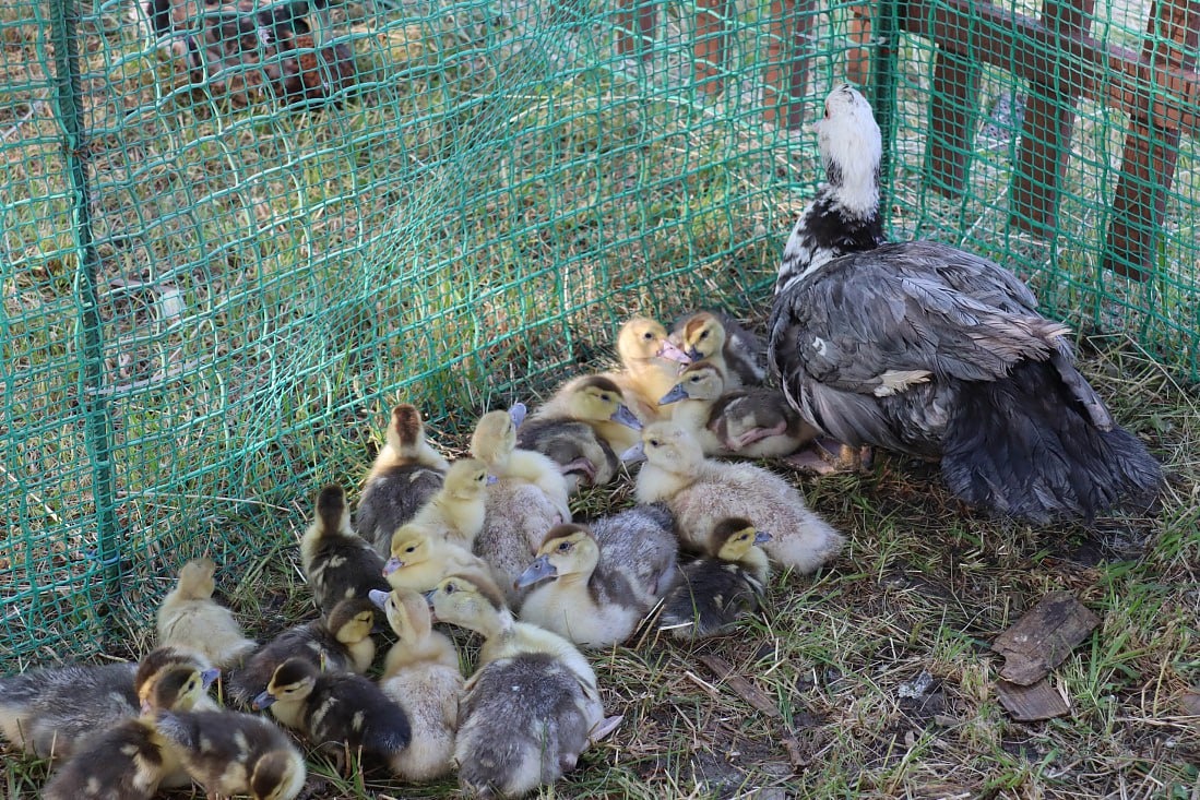 Фото: Правительство Курской области